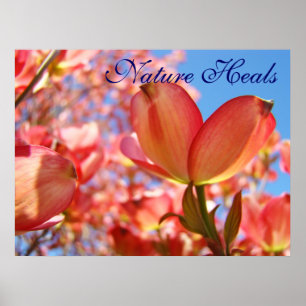 Póster Nature Heals art prints Blue sky Floral Dogwood