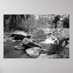 Póster Nature in black & white