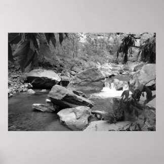 Póster Nature in black & white