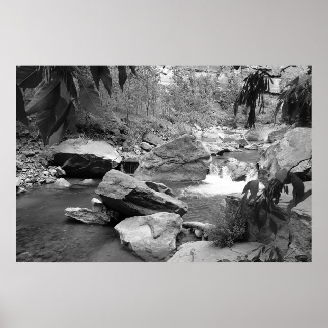 Póster Nature in black & white (Frente)