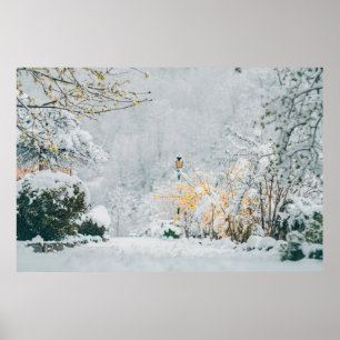Póster nature in the snow vintage rendering lensart, beau