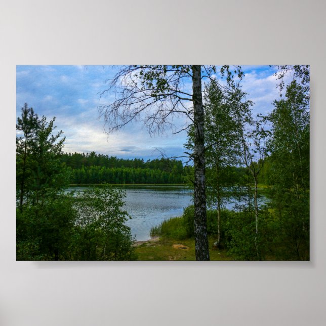 Póster Nature Scenery Landscape Forest Belarus Poster (Frente)