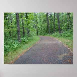 Póster Nature Woods Forest Path Photography Poster Art MN