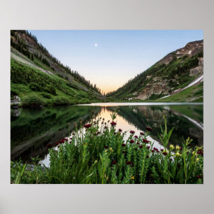 Póster Natures Bouquet // Floral Foreground