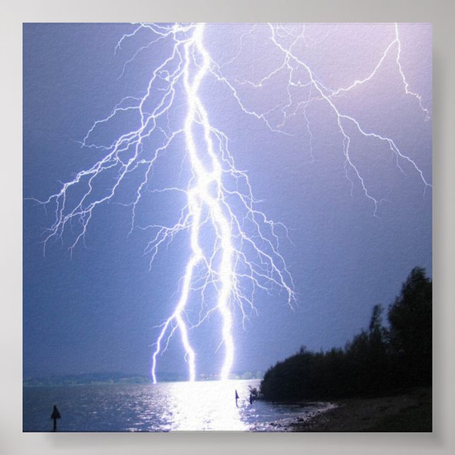 Póster Natures Strength and Beauty (Frente)