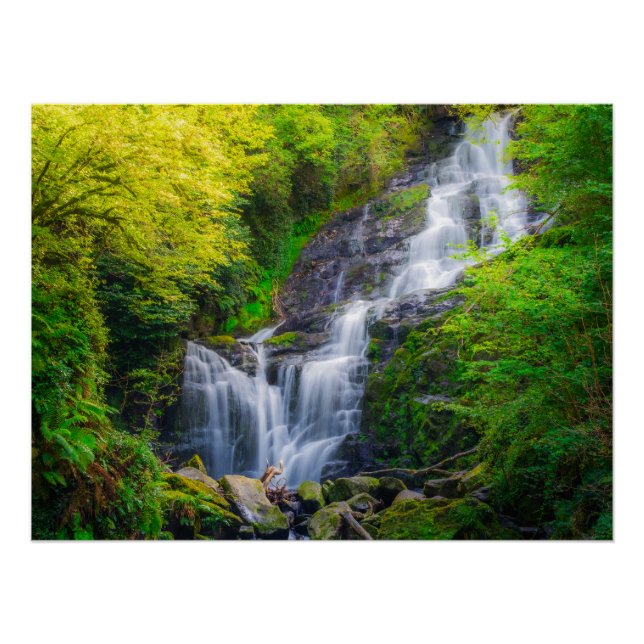 Póster Nature's Symphony: The Cascades of Killarney (Anverso)