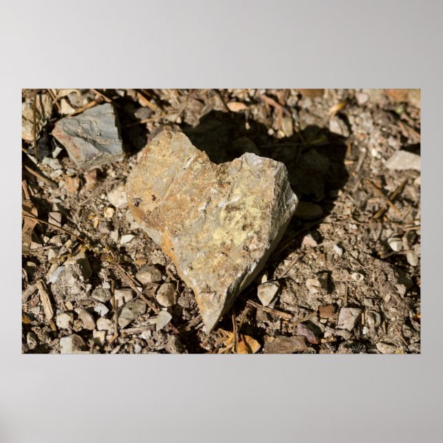 Póster Nature's Valentine "Love Rocks" Poster (Frente)