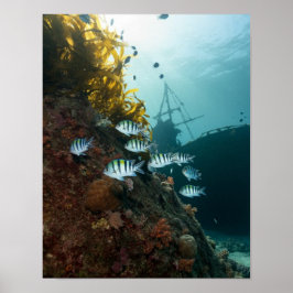 Póster Naufragio oculto detrás de un arrecife
