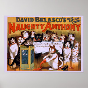 Póster Naughty Anthony - Poster de teatro
