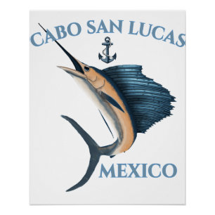 Póster Náutica Sailfish Cabo San Lucas