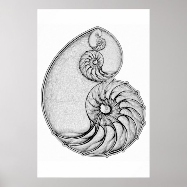 Póster Nautilus (Frente)