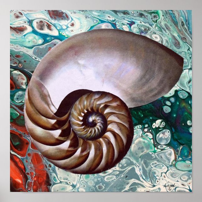 Póster Nautilus, Nautilus Print, Art, Nautilus (Frente)