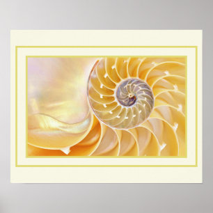 Póster Nautilus Poster