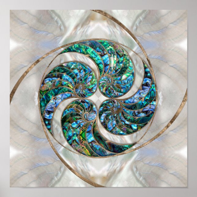 Póster Nautilus Shell - Abalone and Pearl (Frente)
