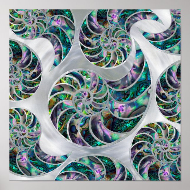 Póster Nautilus Shell Abalone y Pearl (Frente)