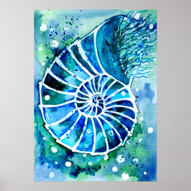 Póster Nautilus Turquesa (Frente)