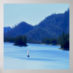 Póster Navegando...