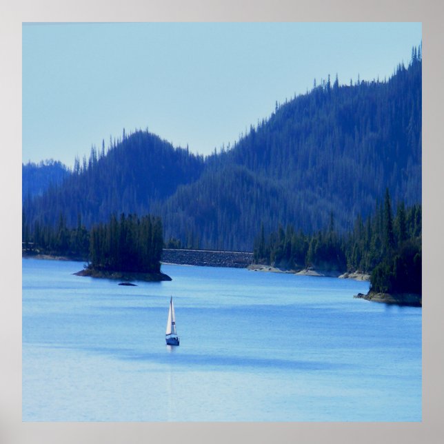 Póster Navegando... (Frente)