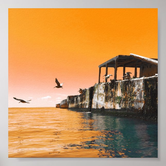 Póster naves de hormigón del parque estatal kiptopeke dre (Frente)