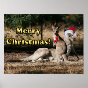 Póster Navidad australiano KangaROOS del estilo