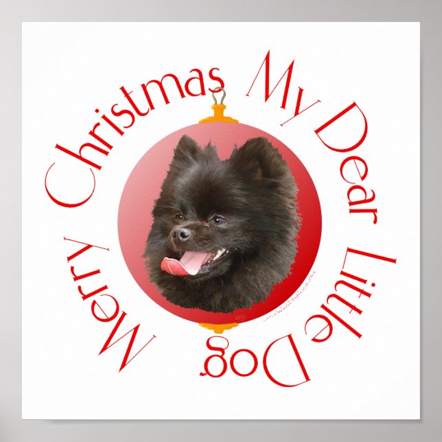 Póster Navidad de Pomerania (Frente)