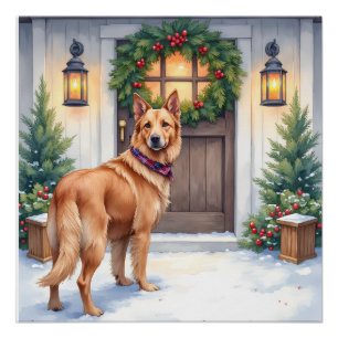 Póster Navidad en granja con Laekenois belga en acuarela