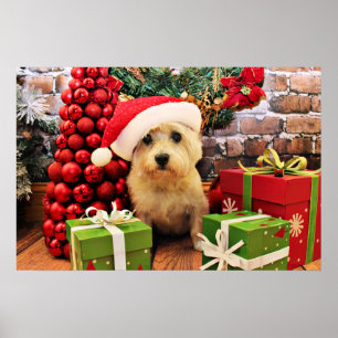 Póster Navidad - mojón Terrier - Roxy