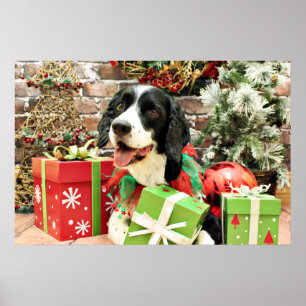 Póster Navidad - perro de aguas de saltador inglés -
