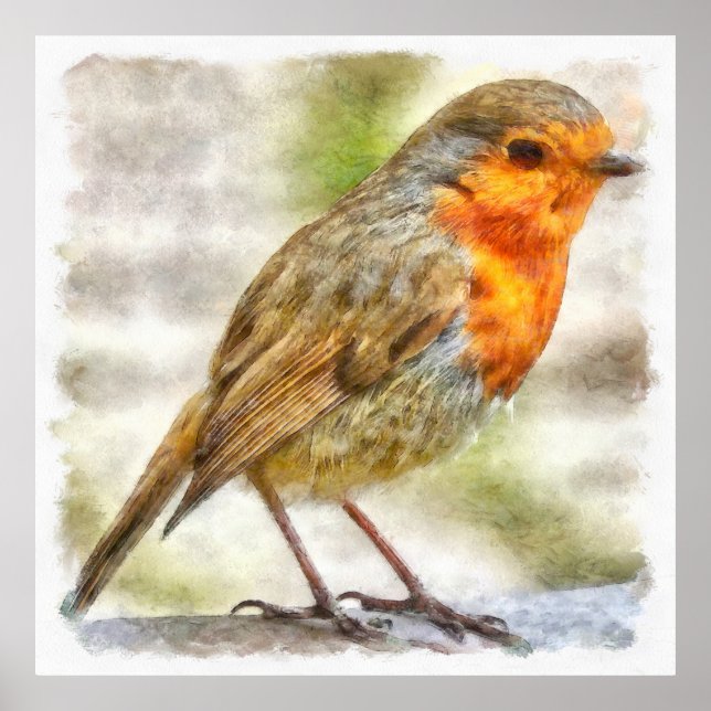 Póster Navidad Robin Winter Watercolor (Frente)