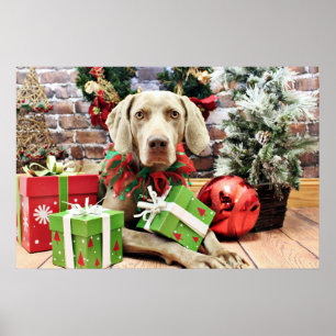 Póster Navidad - Weimaraner - Lucy