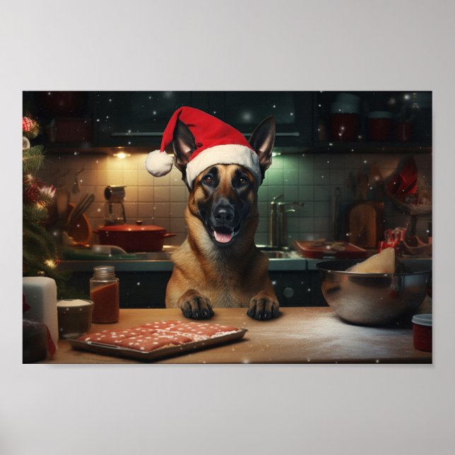 Póster Navidades belgas de Malinois en vacaciones festiva (Frente)