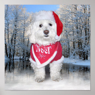 Póster Navidades Bichon Frise Dog