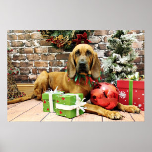 Póster Navidades - Bloodhound - Penney
