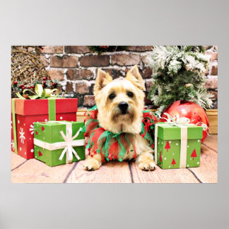 Póster Navidades - Cairn Terrier - Lola