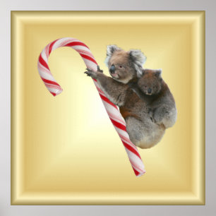 Póster Navidades Candy Cane Koalas