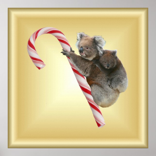 Póster Navidades Candy Cane Koalas (Frente)