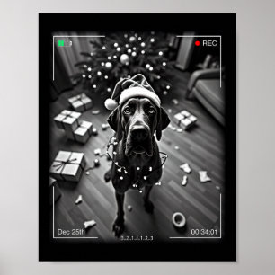 Póster Navidades Capturaron A Gran Danés En Cámara