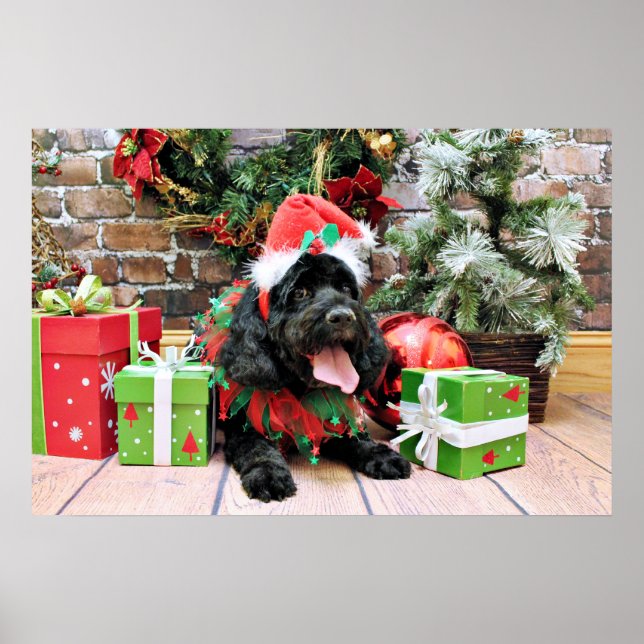 Póster Navidades - Cockapoo - Jack (Frente)