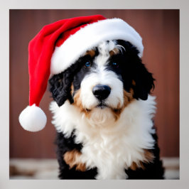 Póster Navidades de Bernedoodle