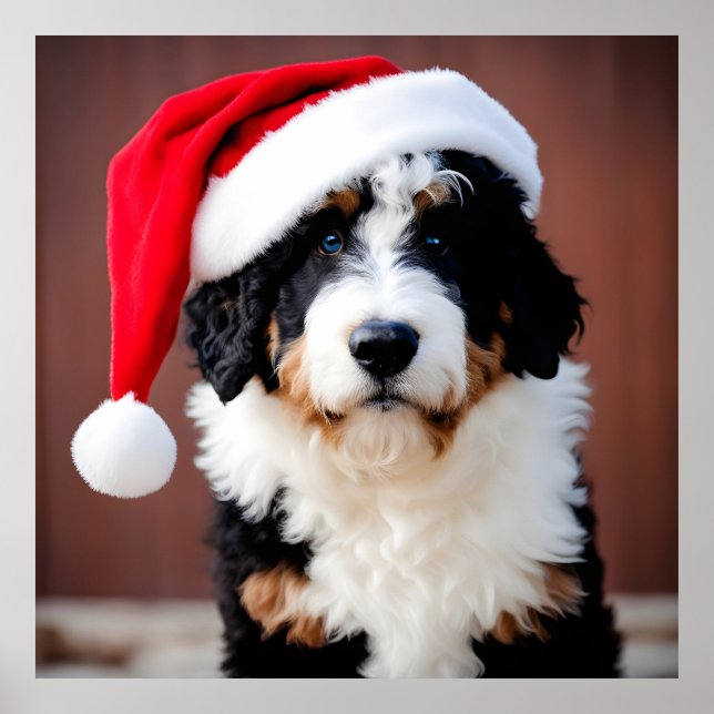 Póster Navidades de Bernedoodle (Frente)