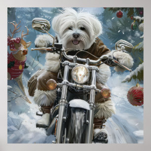 Póster Navidades de motocicletas Coton De Tulear