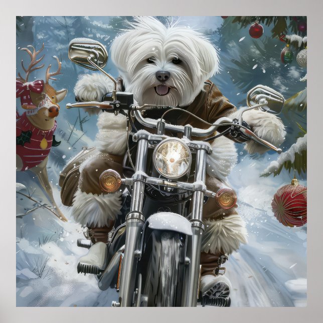 Póster Navidades de motocicletas Coton De Tulear (Frente)