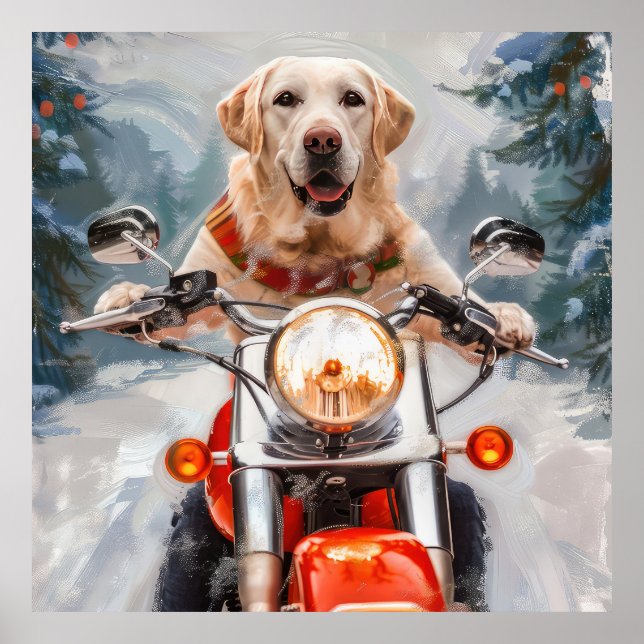 Póster Navidades de motociclismo de perros de Labrador (Frente)