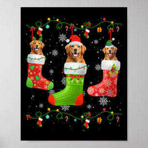 Póster Navidades de perro de Golden Retriever Socks Luces