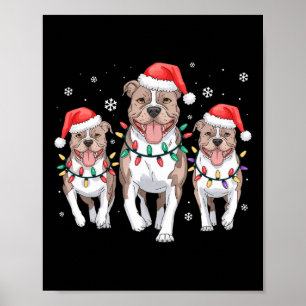 Póster Navidades divertidos Santa Reindeer Cute Pitbull S