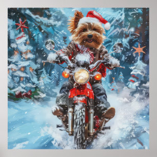 Póster Navidades en motocicleta de Biewer Terrier Dog Rid