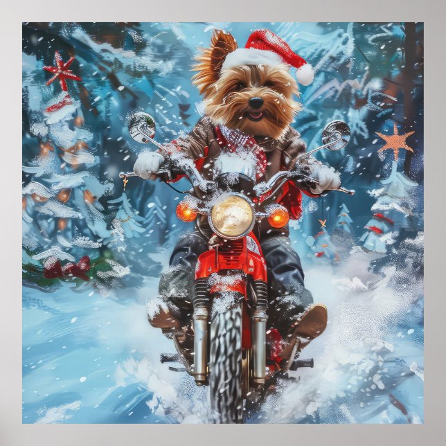 Póster Navidades en motocicleta de Biewer Terrier Dog Rid (Frente)
