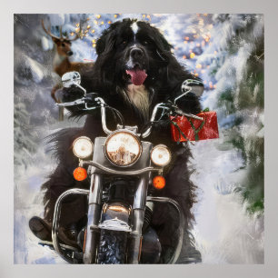 Póster Navidades en motocicleta de perros de Terranova