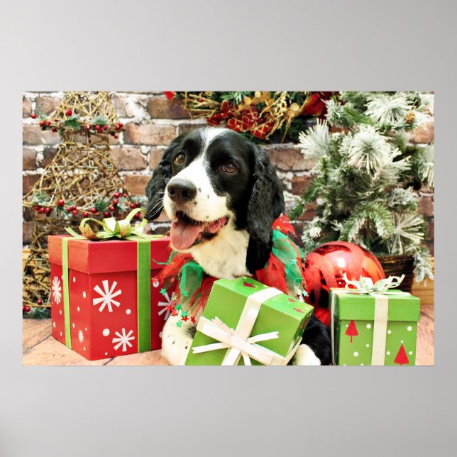 Póster Navidades - English Springer Spaniel - Betsy (Frente)
