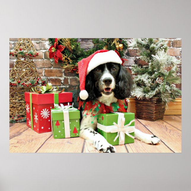 Póster Navidades - English Springer Spaniel - Lucy (Frente)